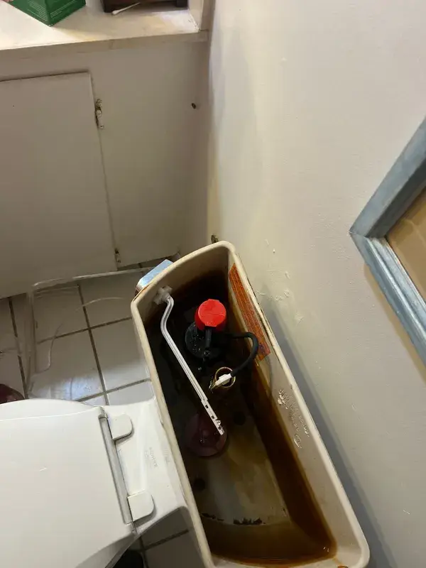 Inside of a toilet tank during a repair visit in Sharpstown, Houston