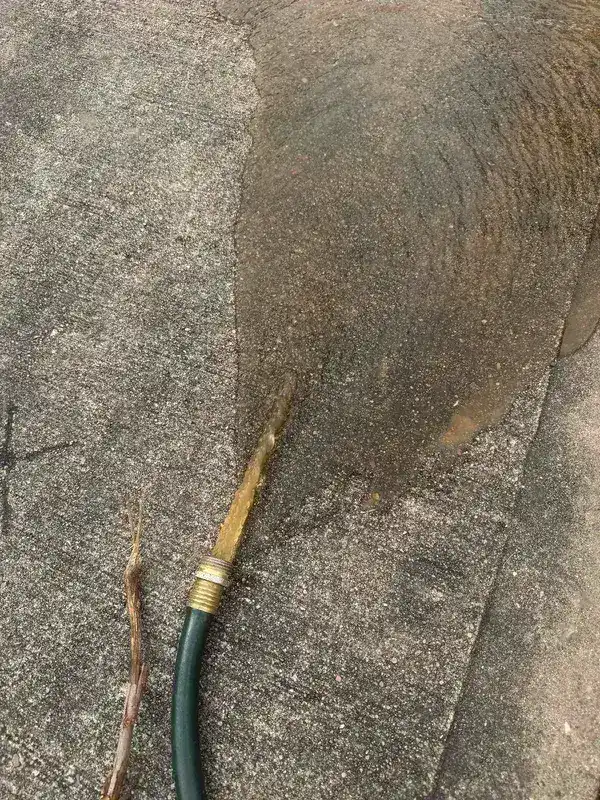 A failed water heater being drained down a driveway before replacement