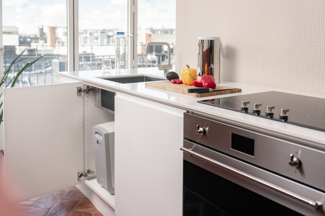 Garbage Disposal Repair & Installation 3 garbage disposal in modern kitchen sink
