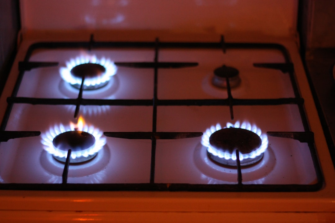 Garbage Disposal Repair & Installation 5 modern kitchen gas stove with a clean blue flame